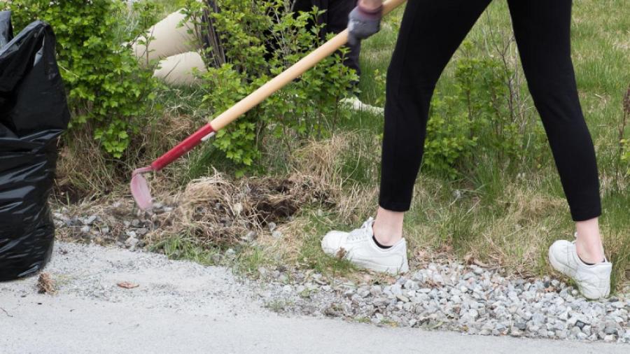 Vårstädning 2019